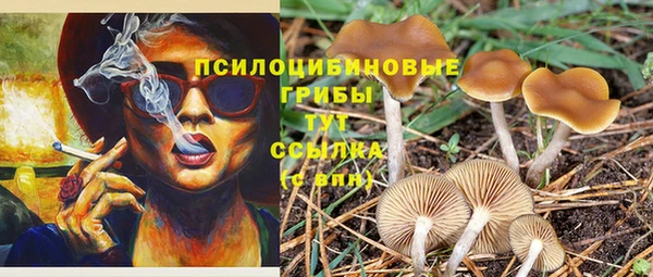ПСИЛОЦИБИНОВЫЕ ГРИБЫ Лабытнанги